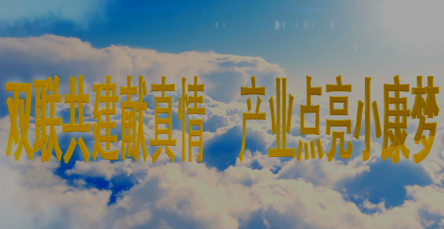 ��˫�������������� ��ҵ��������С����.png