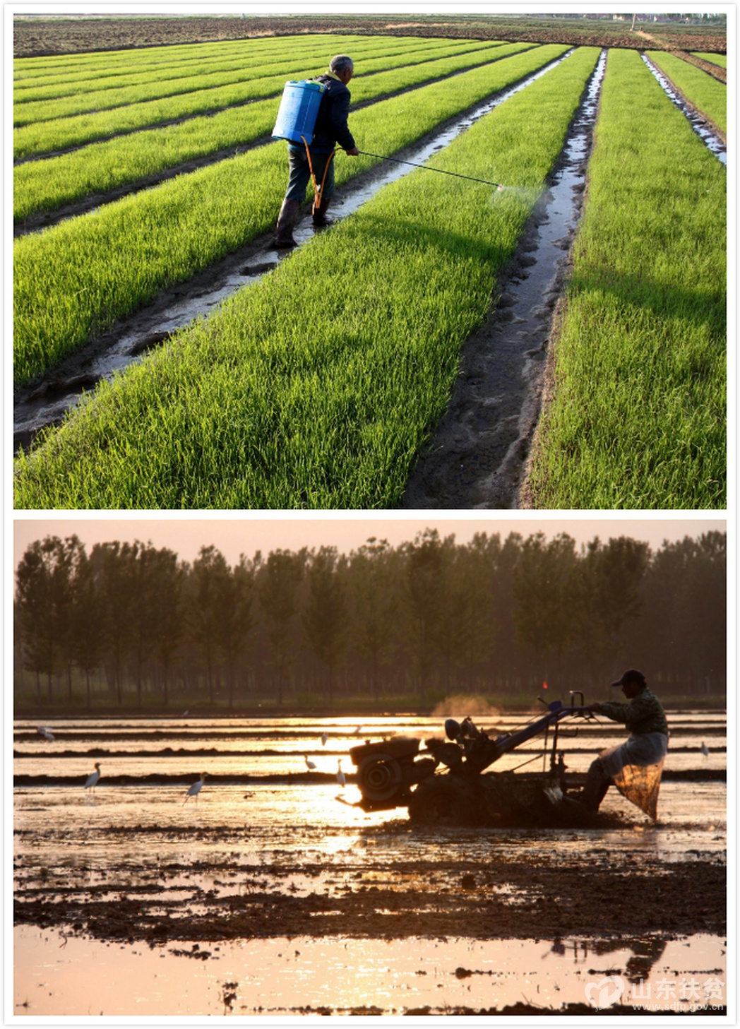 ��ͼ��ɽ��ʡ���ݸ���������ֵ�ƶ��Ⱥ����������ͼ��ɽ��ʡ���ݸ���������ֵ�ƶ��Ⱥ���ڵ����﷭���������� �㣩_resize1.jpg