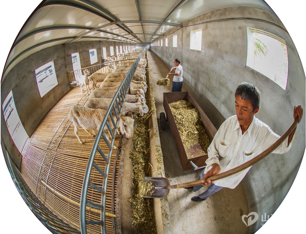 ۩������ׯ�����ƽ�