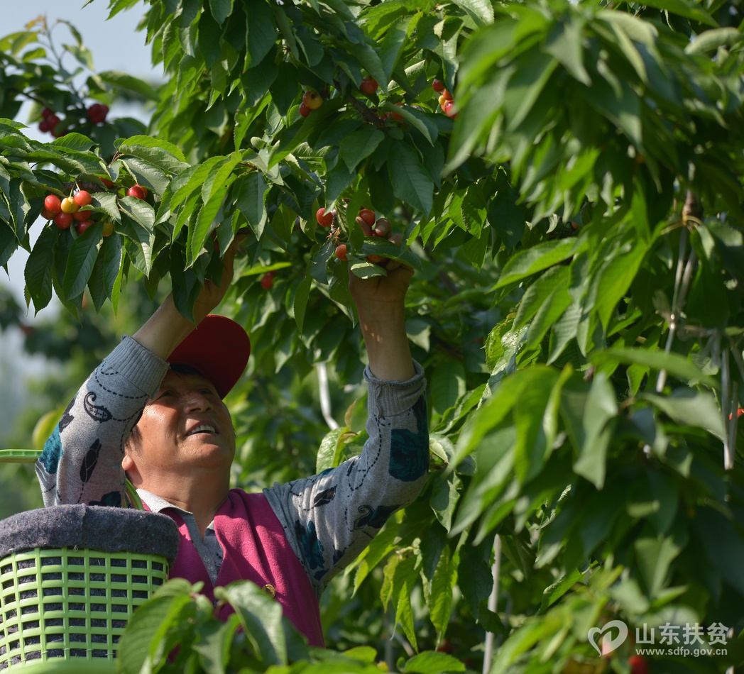 �������»��ֵ�